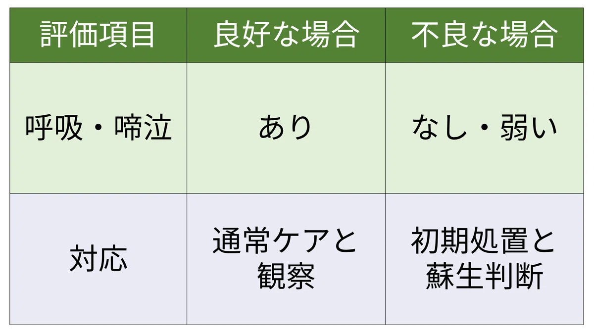 Emergency Life-Saving Technician 48th Exam Problem B - 9｜iZONE