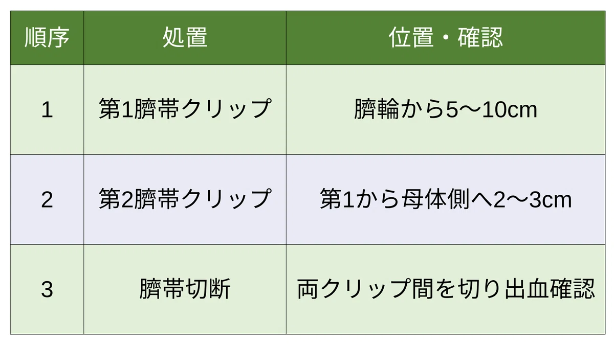 Emergency Life-Saving Technician 48th Exam Problem B - 9｜iZONE