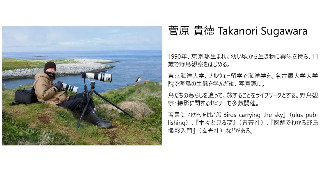 [Shiga] OM SYSTEM Photo Tour in Kohoku & Koto - Birdwatching ...