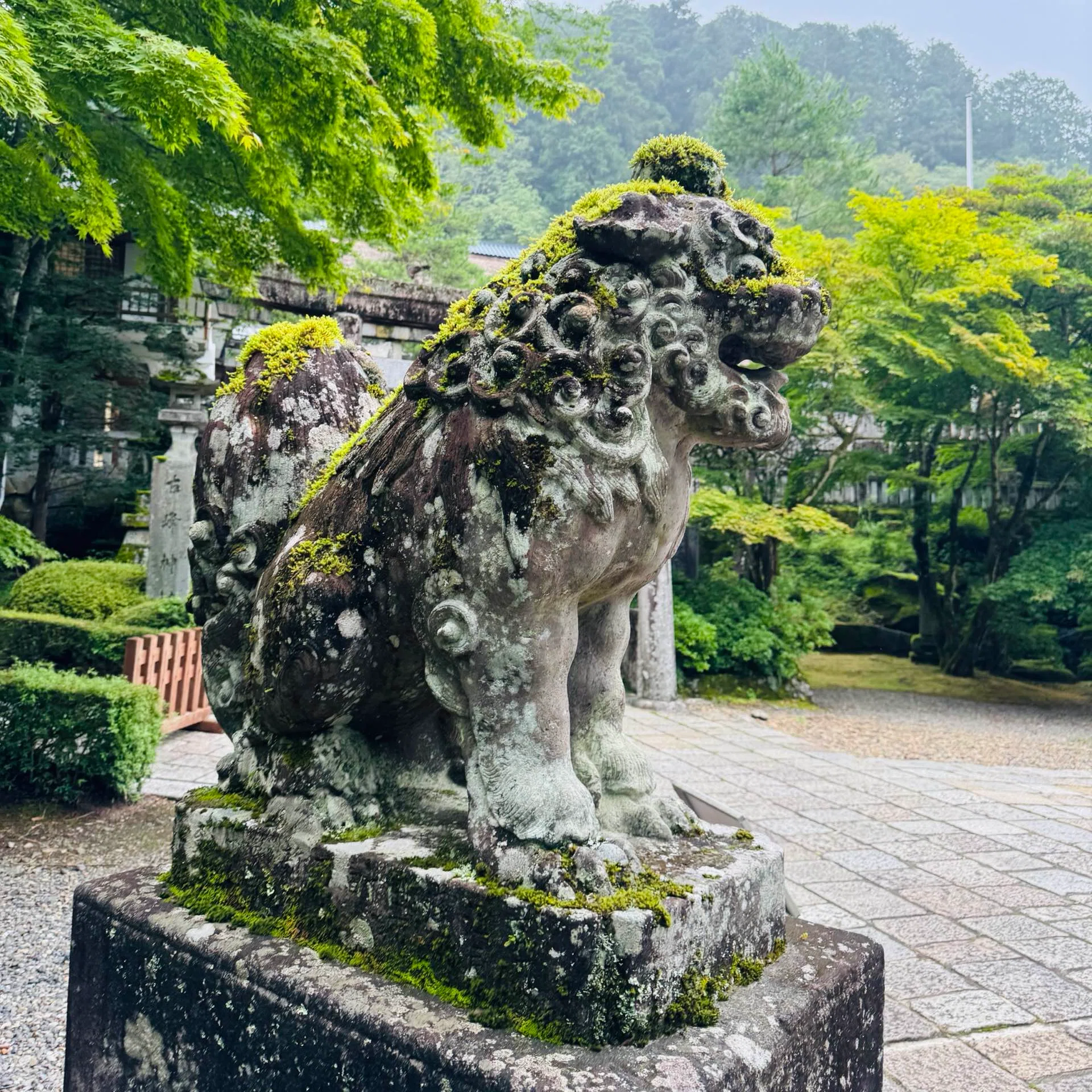 天狗に見つめられる神社』1300年の古峯神社で精進料理をいただいてきた
