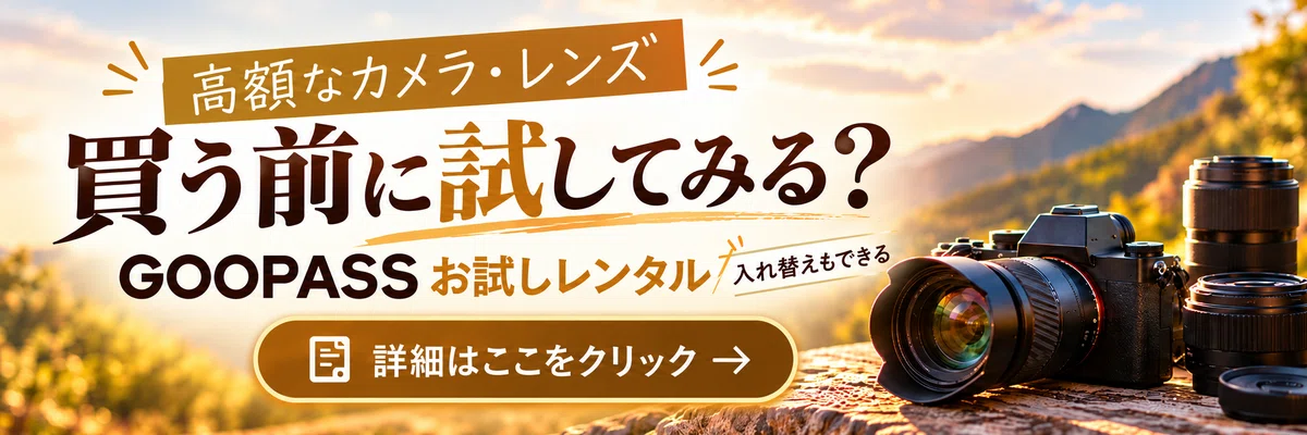 Sony α7 Vとα7R VI、どっちを選ぶ？｜現実はV、野望はR。私ならこう