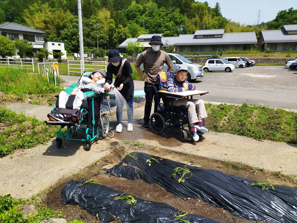 画像