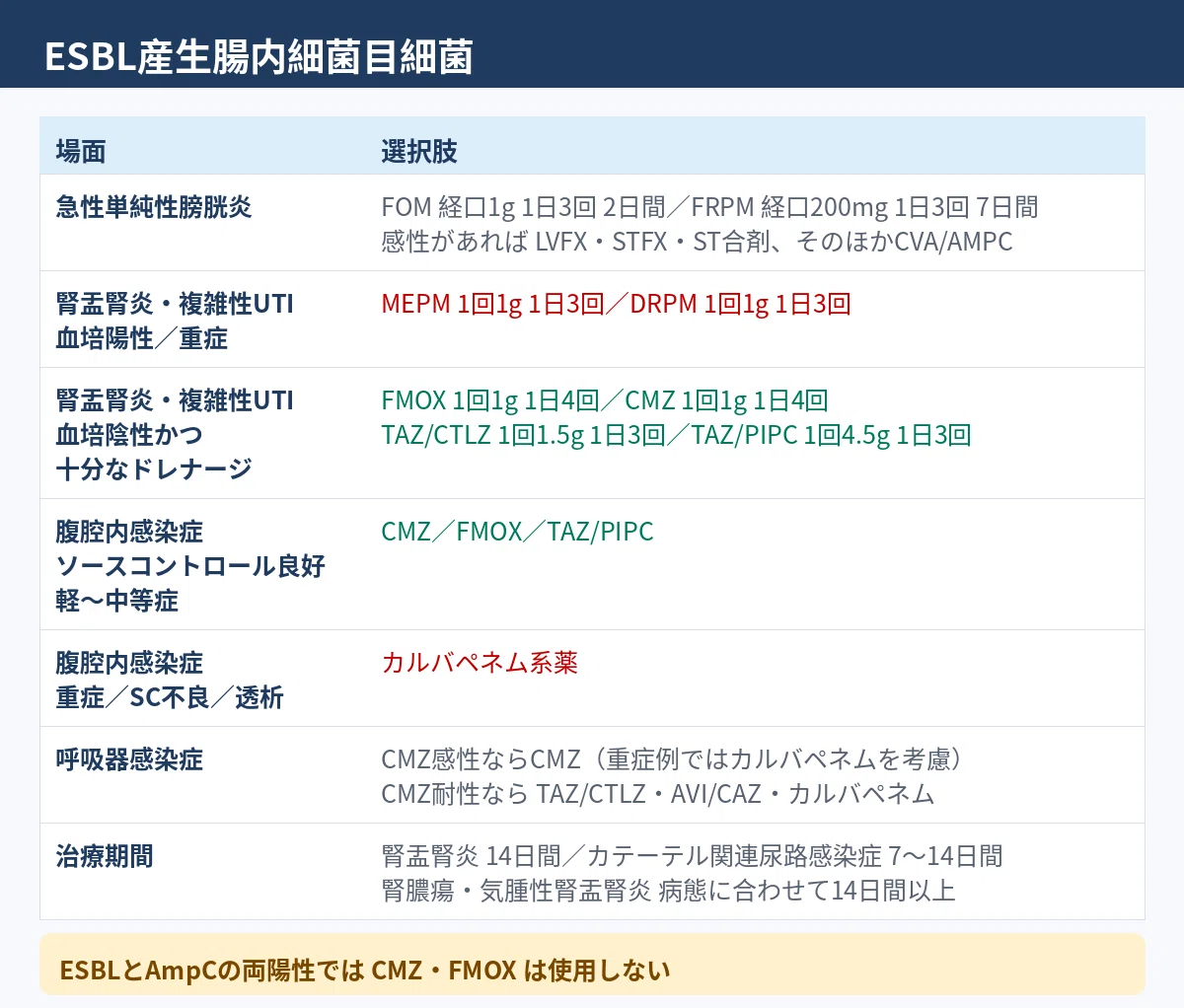 耐性菌の治療方針｜2026年の2つの文書で整理する｜Mitsuki みつき 抗菌