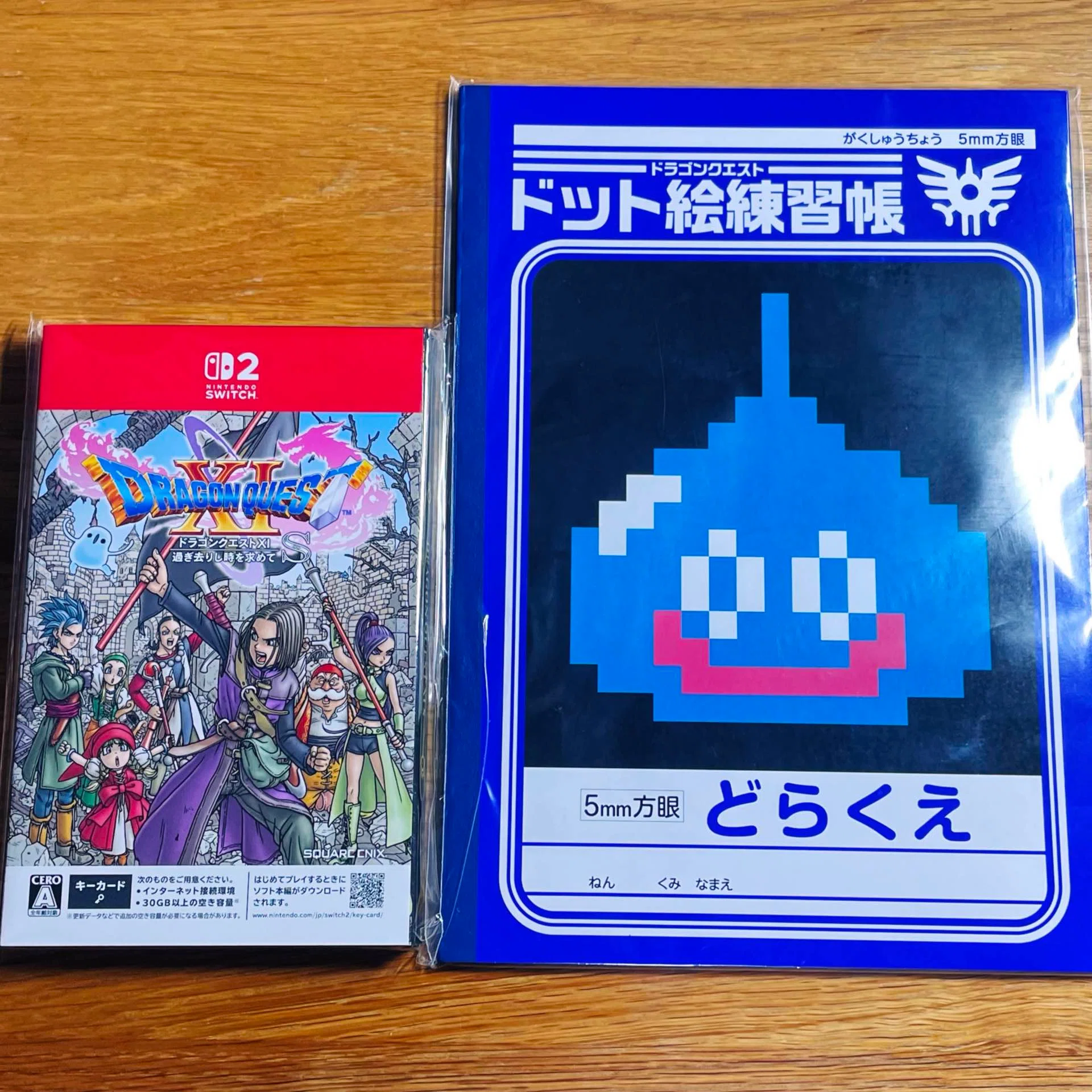 Switch 2版で再始動！＠ドラクエ11日記｜大島理樹