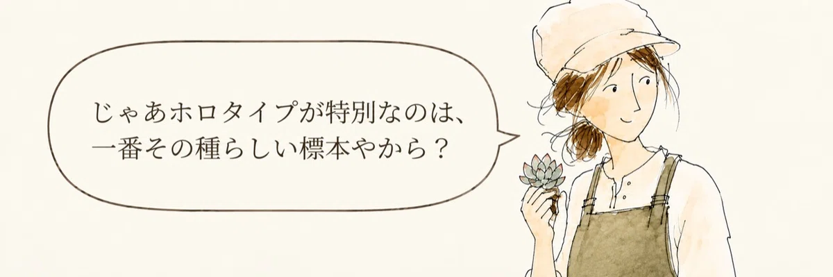 What is a plant 'holotype'?｜tanitanien｜世界のエケベリアを読む