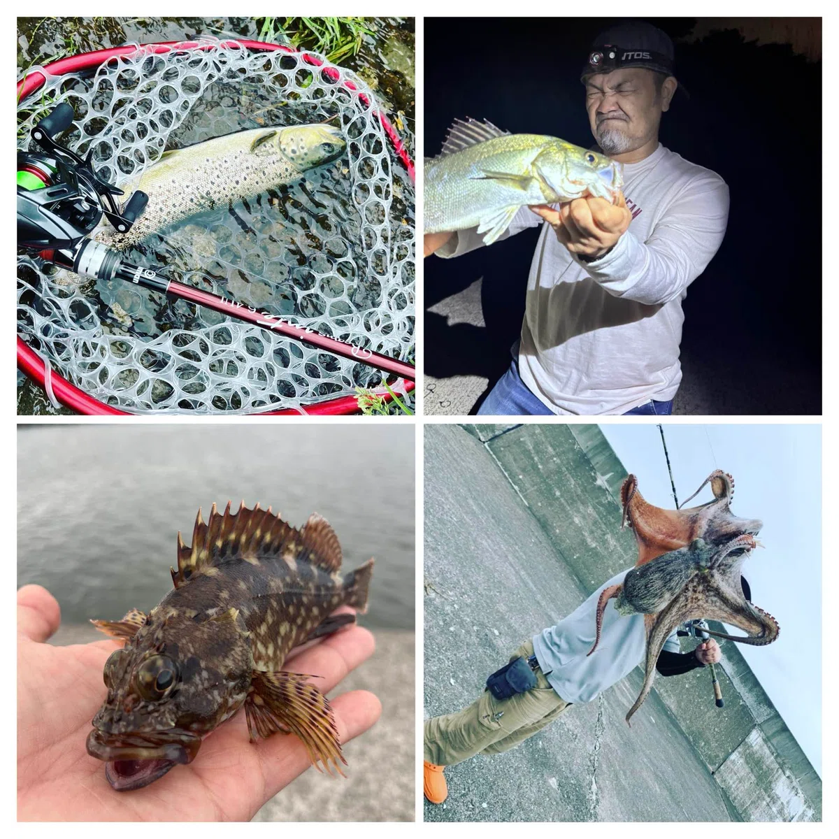 Fish Worker Fishing, Thinking, and Communicating | About Work Inquiries|サーフスター ...