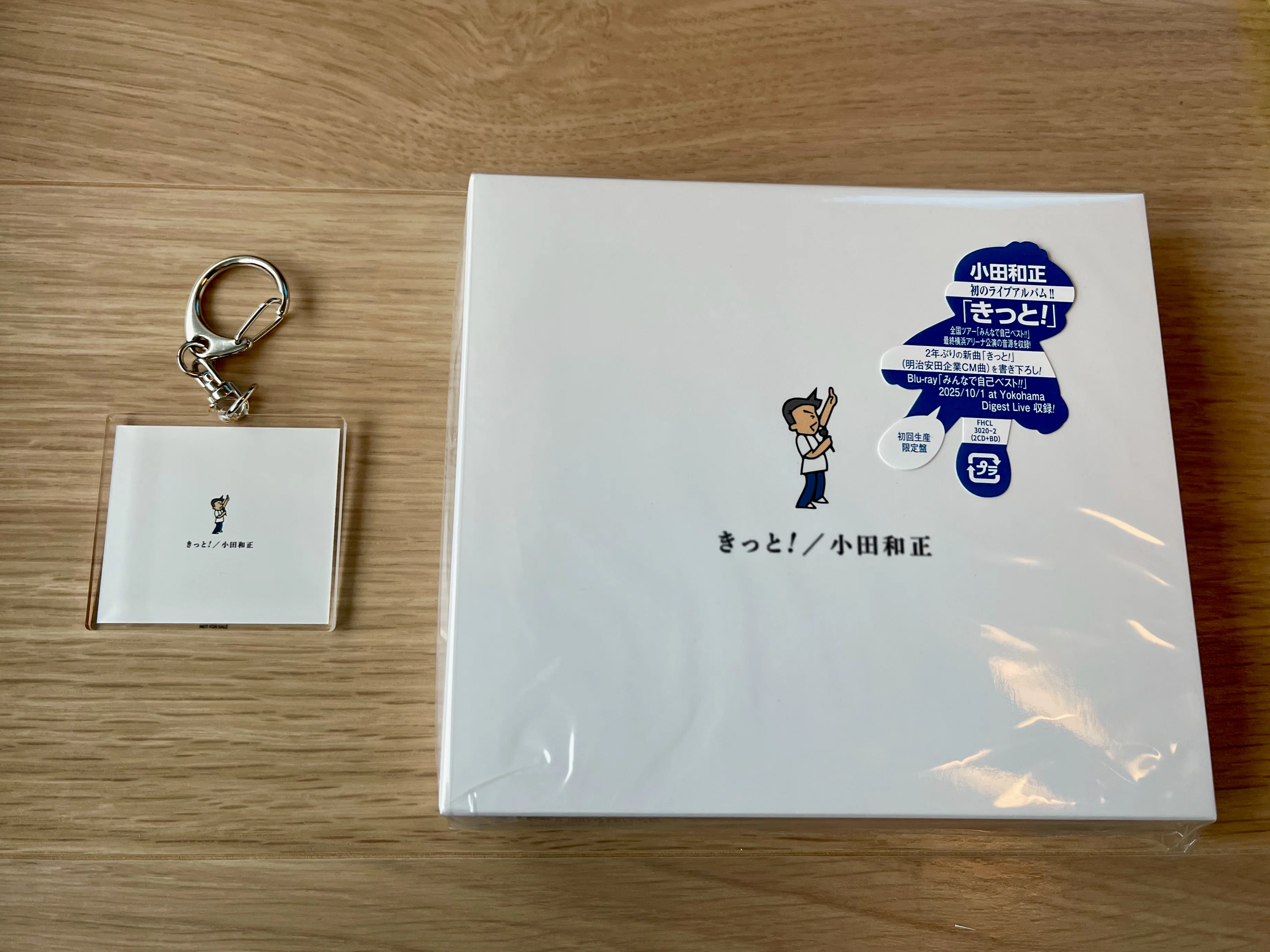 きっと！」発売新聞全面広告（2026年9月29日）｜まりほっぷ