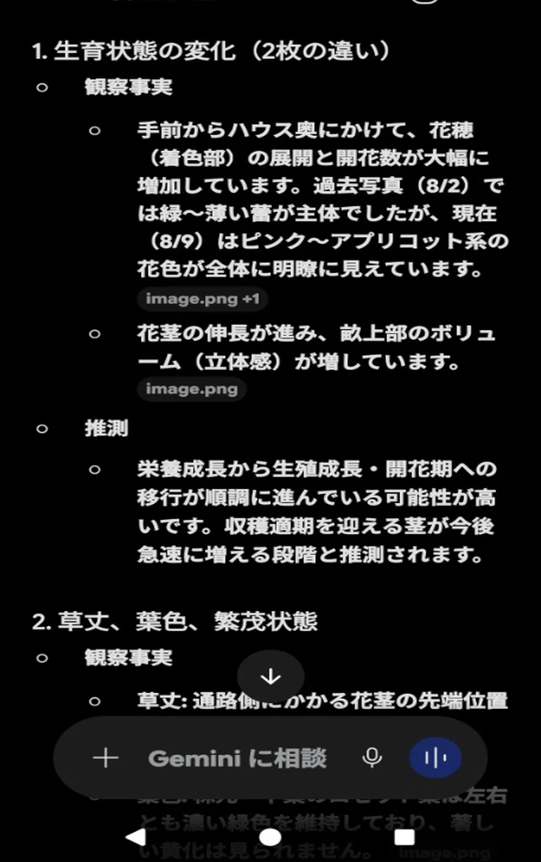 コメント