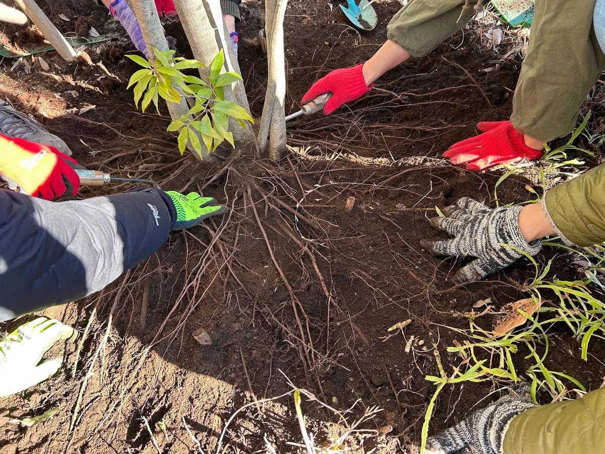 Shimokita Gardening Club 5th Anniversary Talk Event Announced!｜シモキタ園藝部