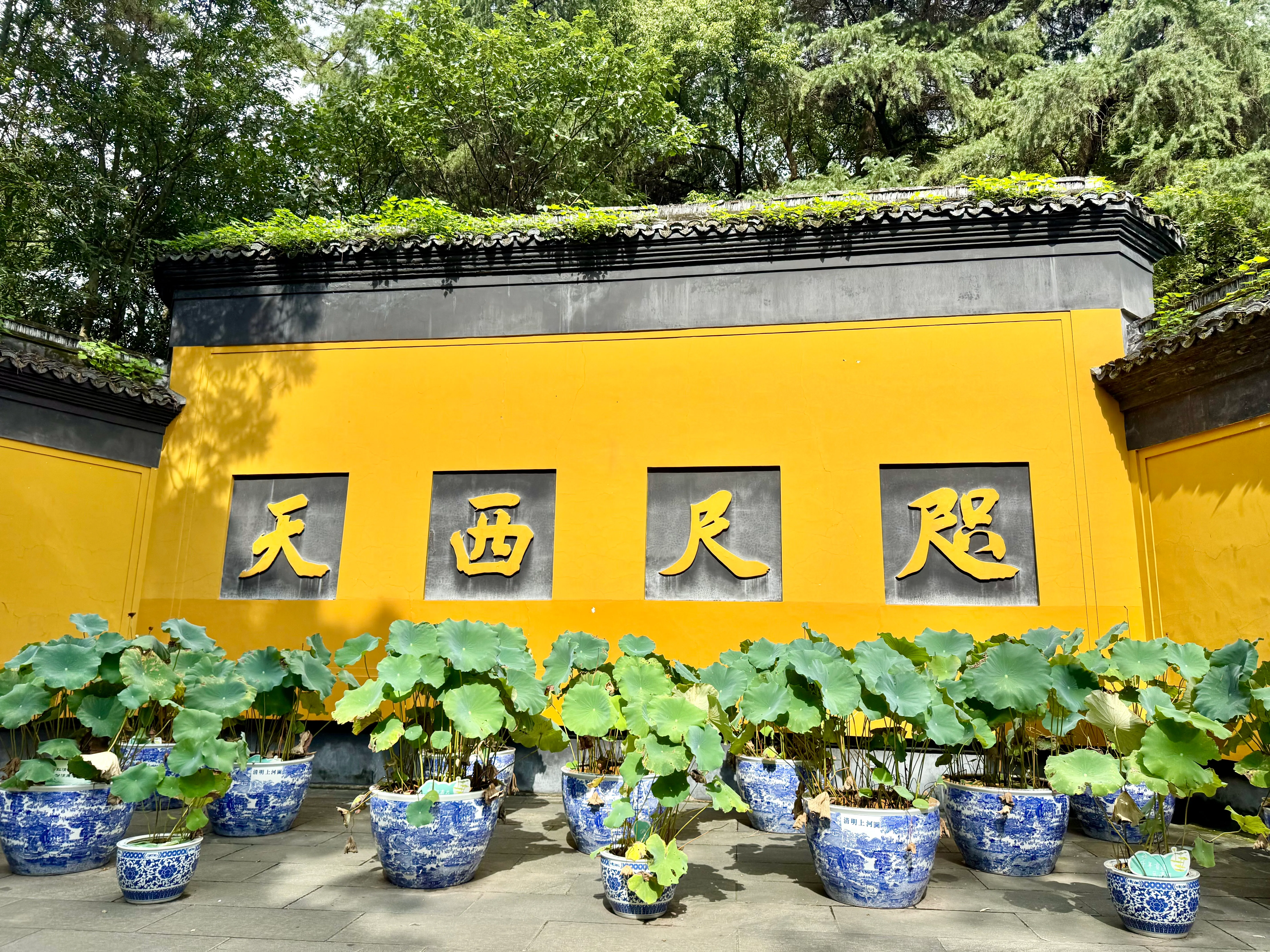 杭州で行ってよかった5つの場所｜29日間、中国へ。第六部｜toyo