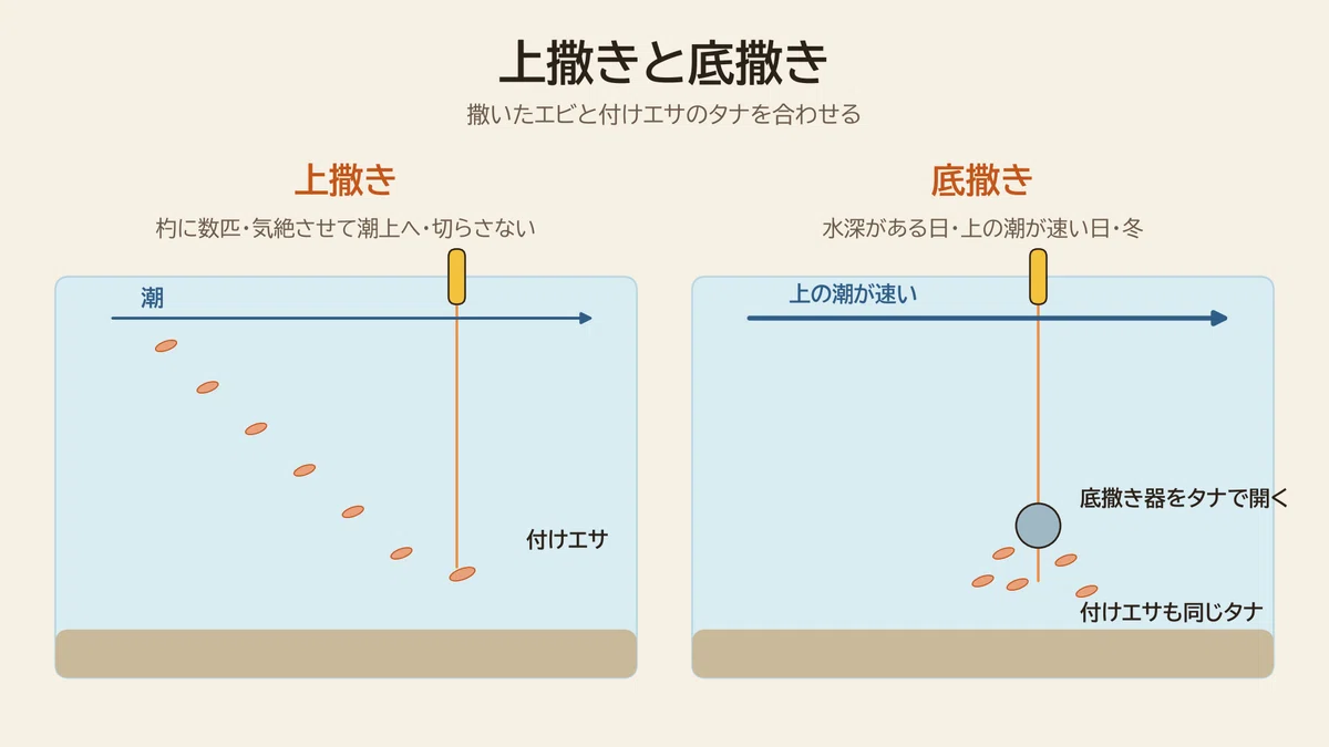 エビ撒き釣りの上撒きと底撒きの比較図。上撒きは杓で気絶させたエビを潮上へ切らさず撒き、上の潮が速い日や深い日は底撒き器をタナで開いて付けエサと同じ層にエビを出す。