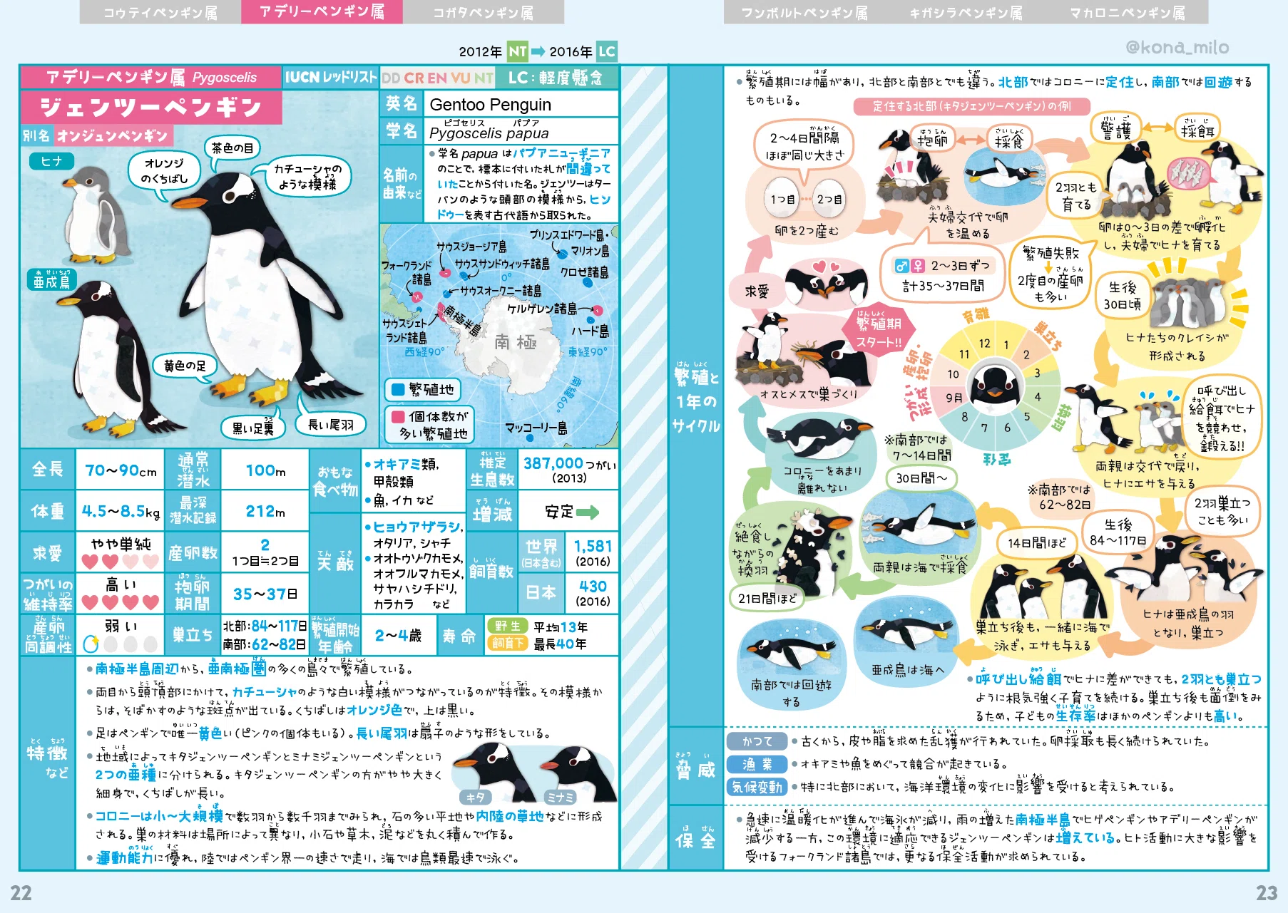 ペンギン100年ぶりの新種、ケルゲレンジェンツーペンギン｜キクチミロ