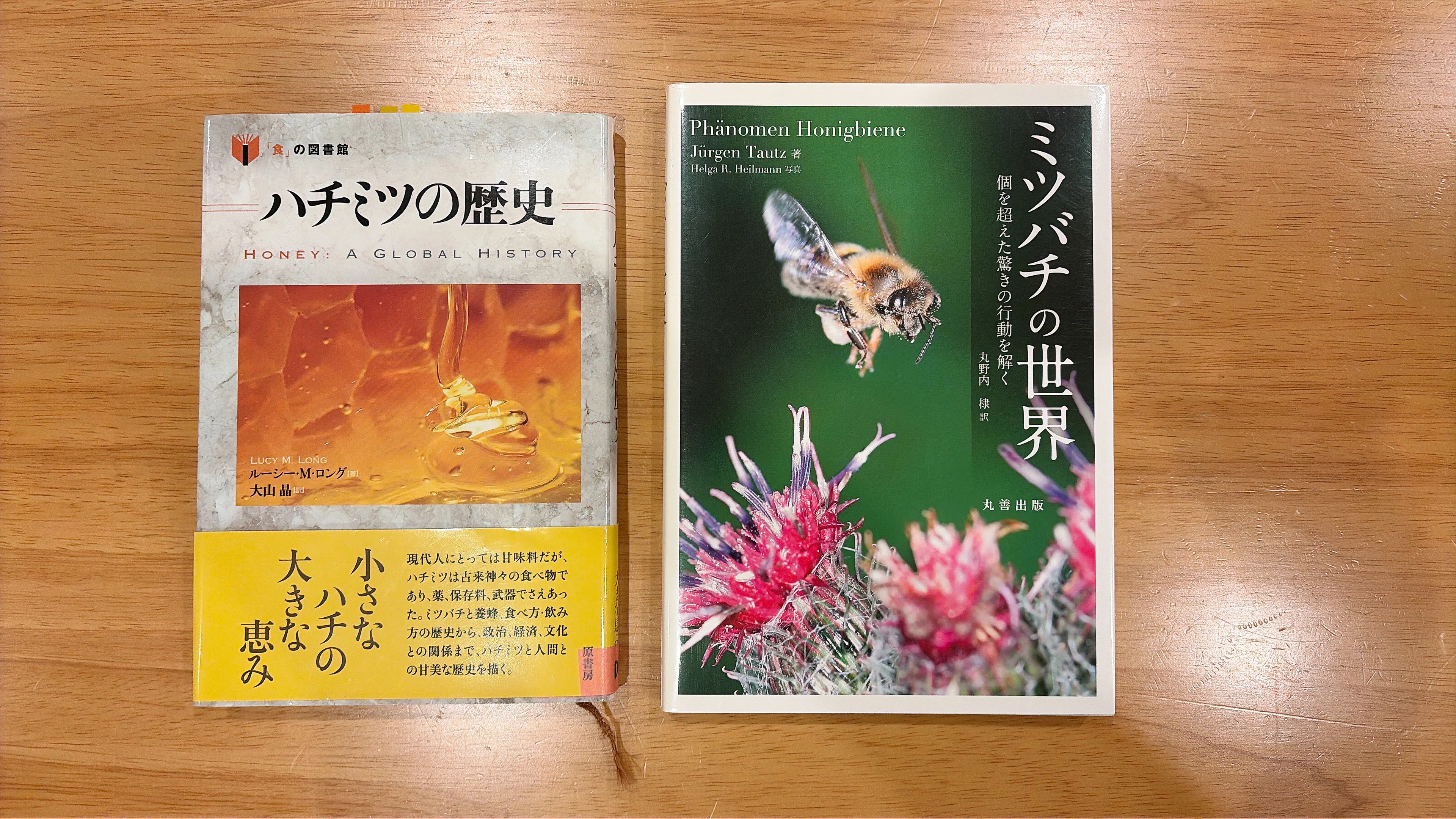 白・赤・黄・青、4色のはちみつをひらく夜。食べ比べから始まる