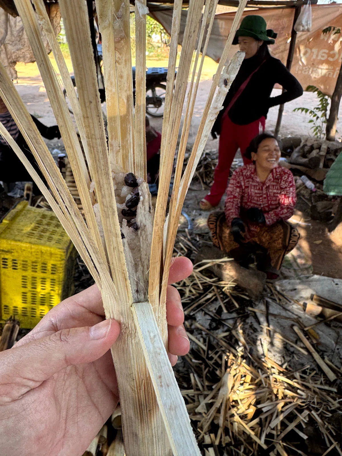[Cambodia] Stay in a Tonle Sap Lake village! 2-day 1-night homestay in ...