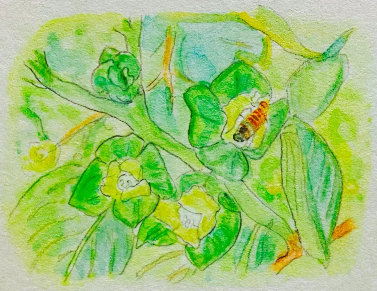 画像