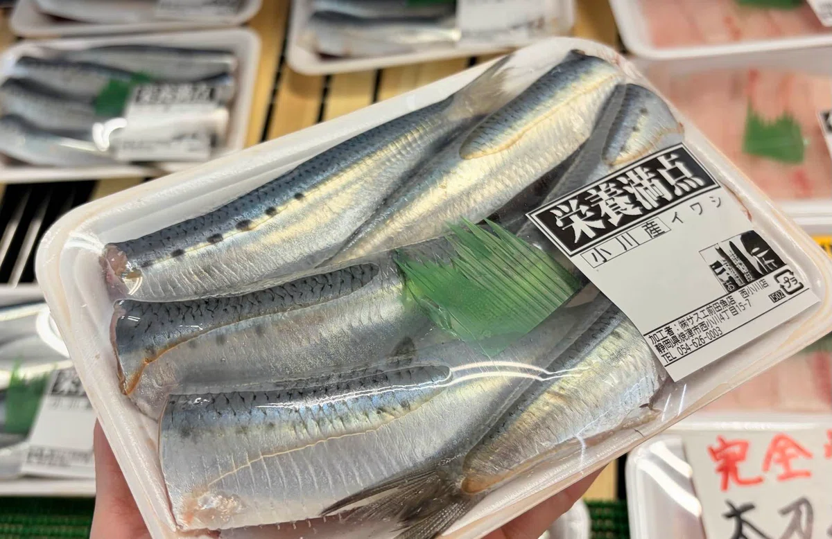 [October 1st] Today's Sasue! Sardines from Kogawa, Yaizu, sashimi-grade ...