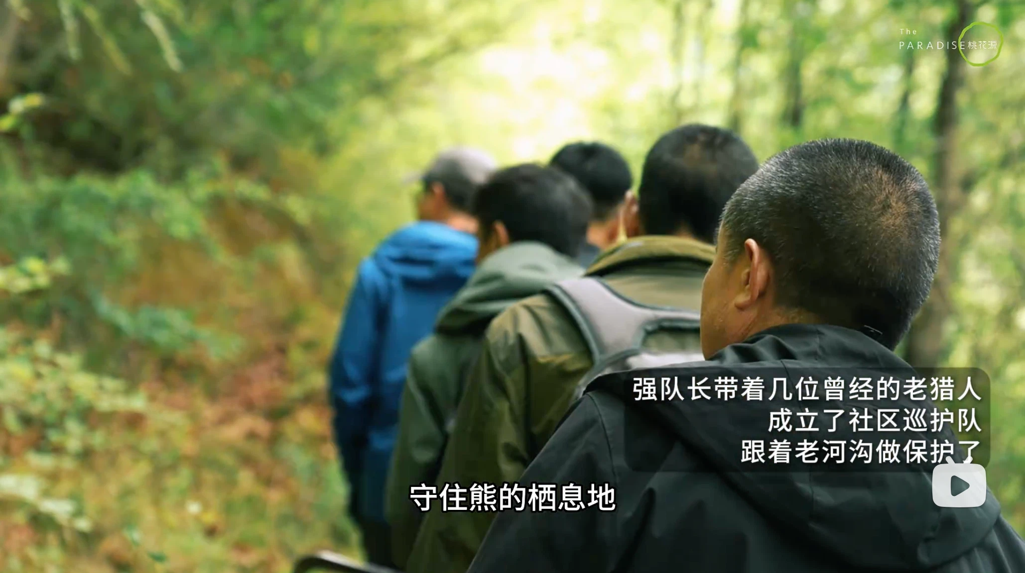 Forest Incentives The Blueprint of Incentives Drawn in the Bear Forest|Shiyuudou