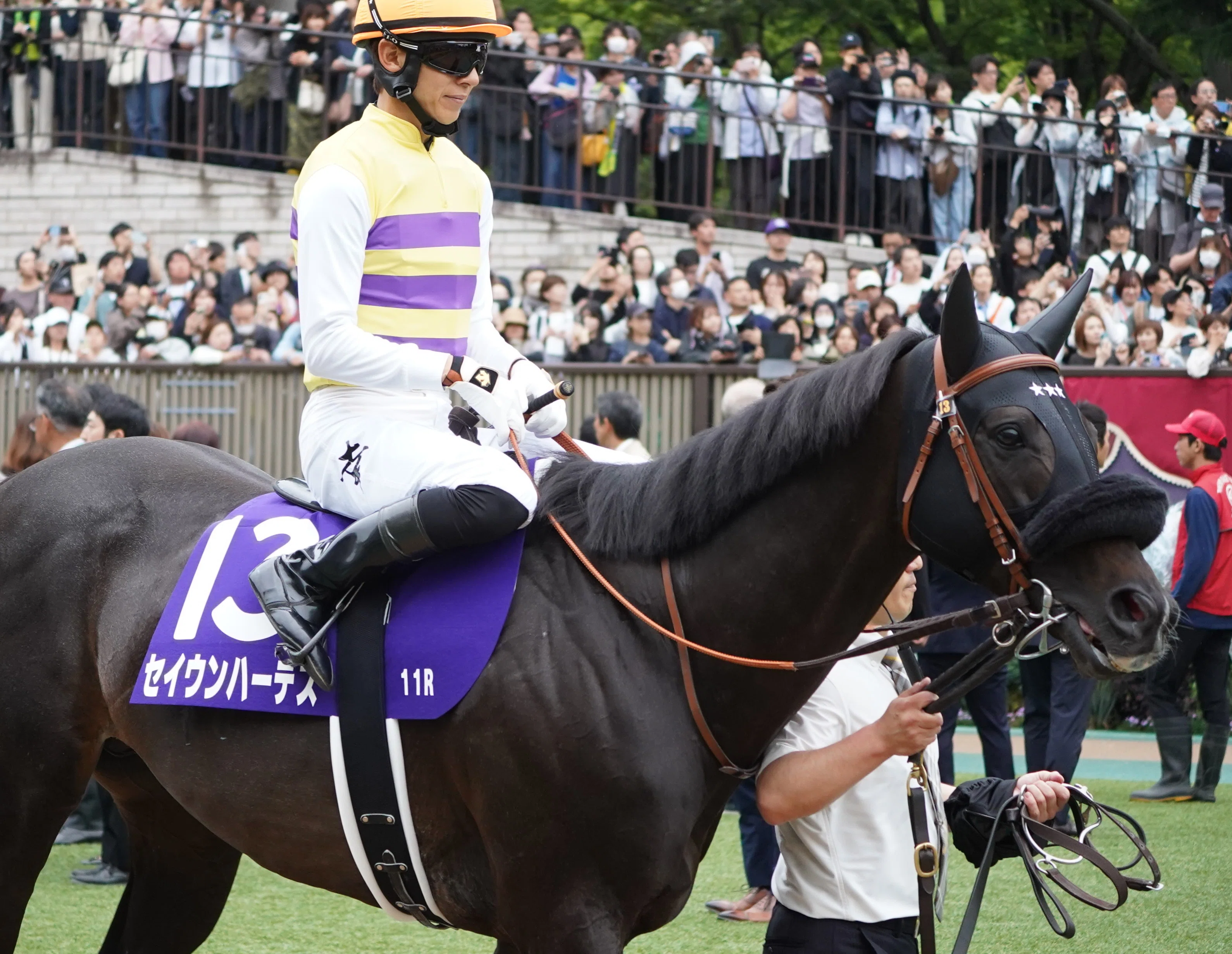 毎日王冠の馬券を当てよう!!! 過去10年の好走馬の傾向から、今年の有力