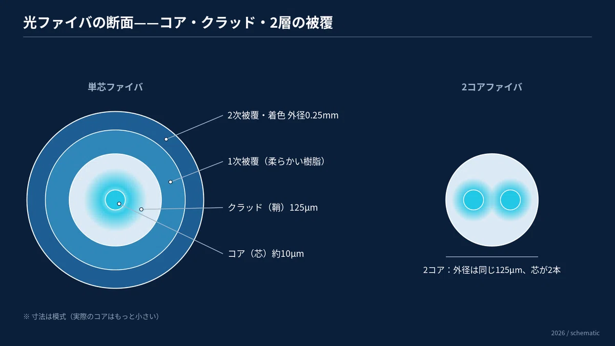 [Supply Chain Anatomy] Where is the bottleneck in optical fiber ...