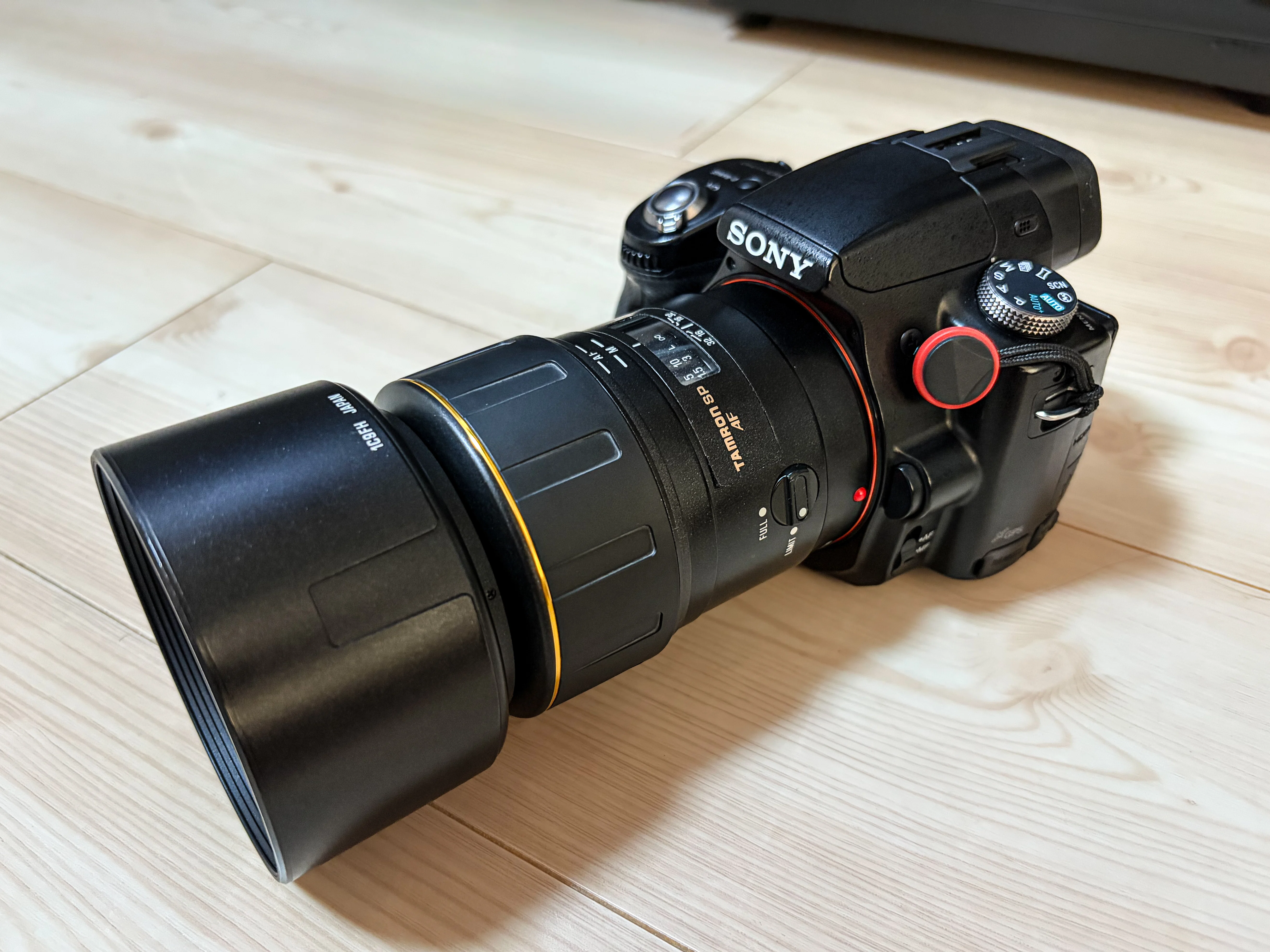 SONY α55実写｜トランスルーセントミラーなしでもMFで撮れた。APS-C