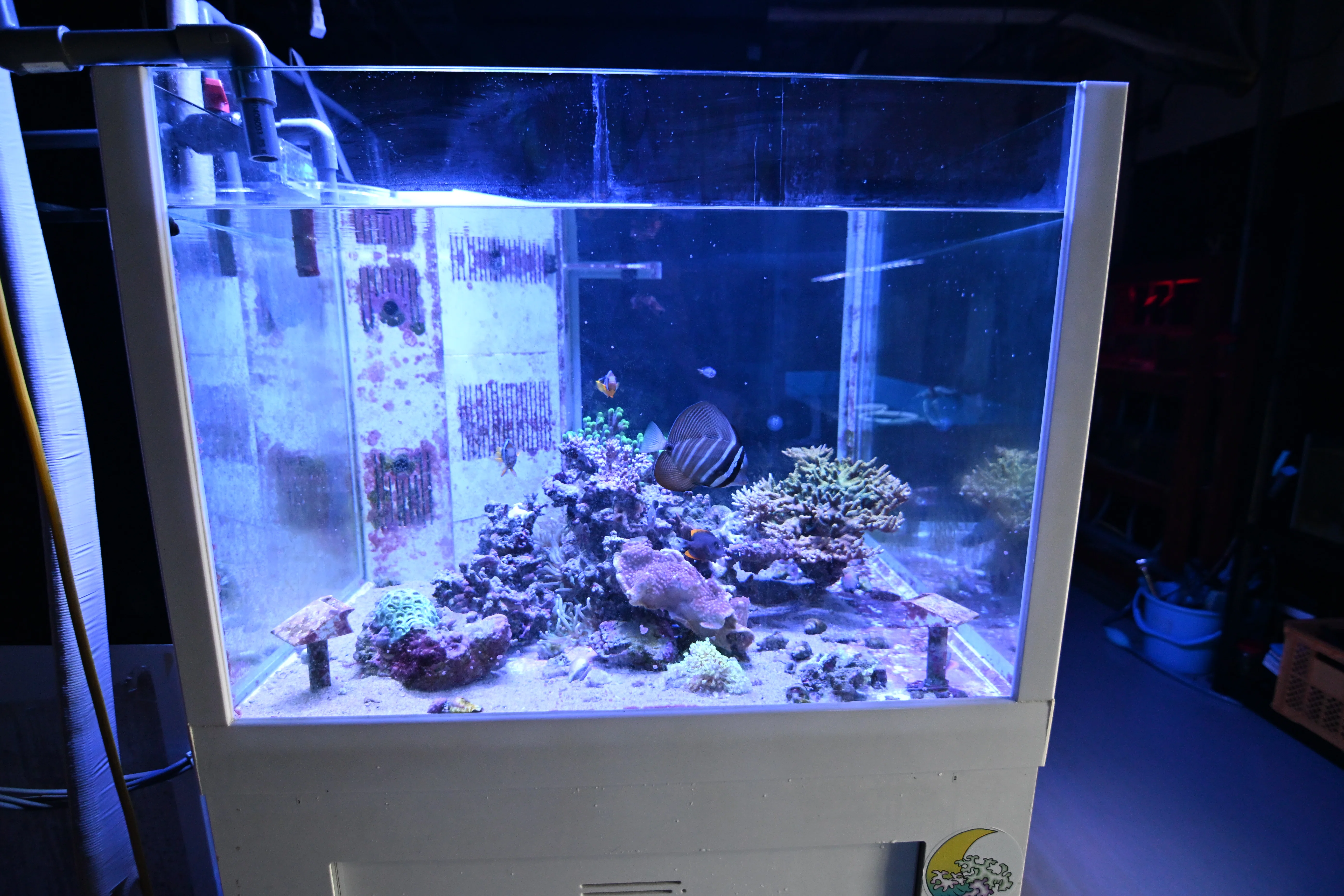 20260927_黒潮生物研究所【Nikon Z50IIと水族館】｜山ネズミ