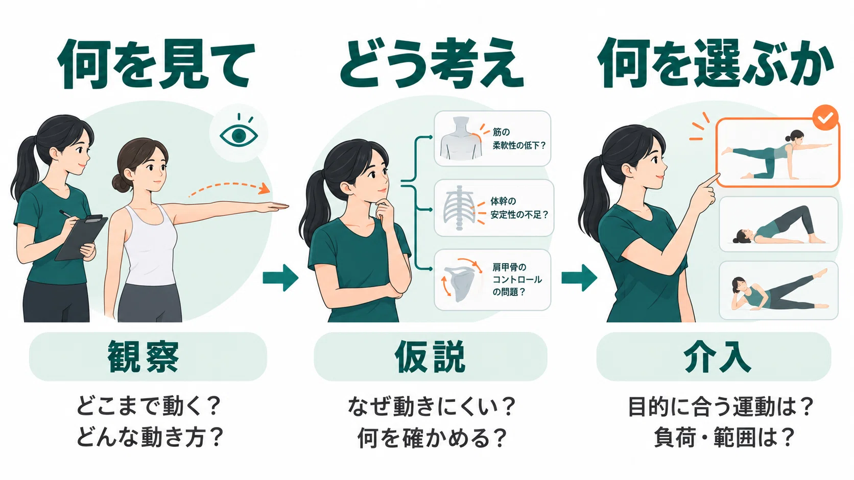 Exercise Therapy for Range of Motion (ROM) Impairment｜渡辺しんご ‼︎