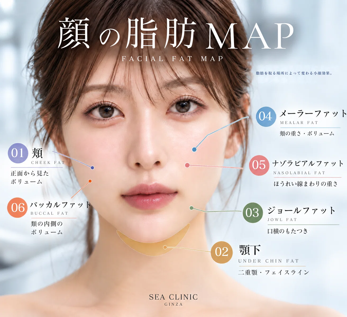 顔の脂肪吸引、どこを取る？部位によって変わる小顔効果