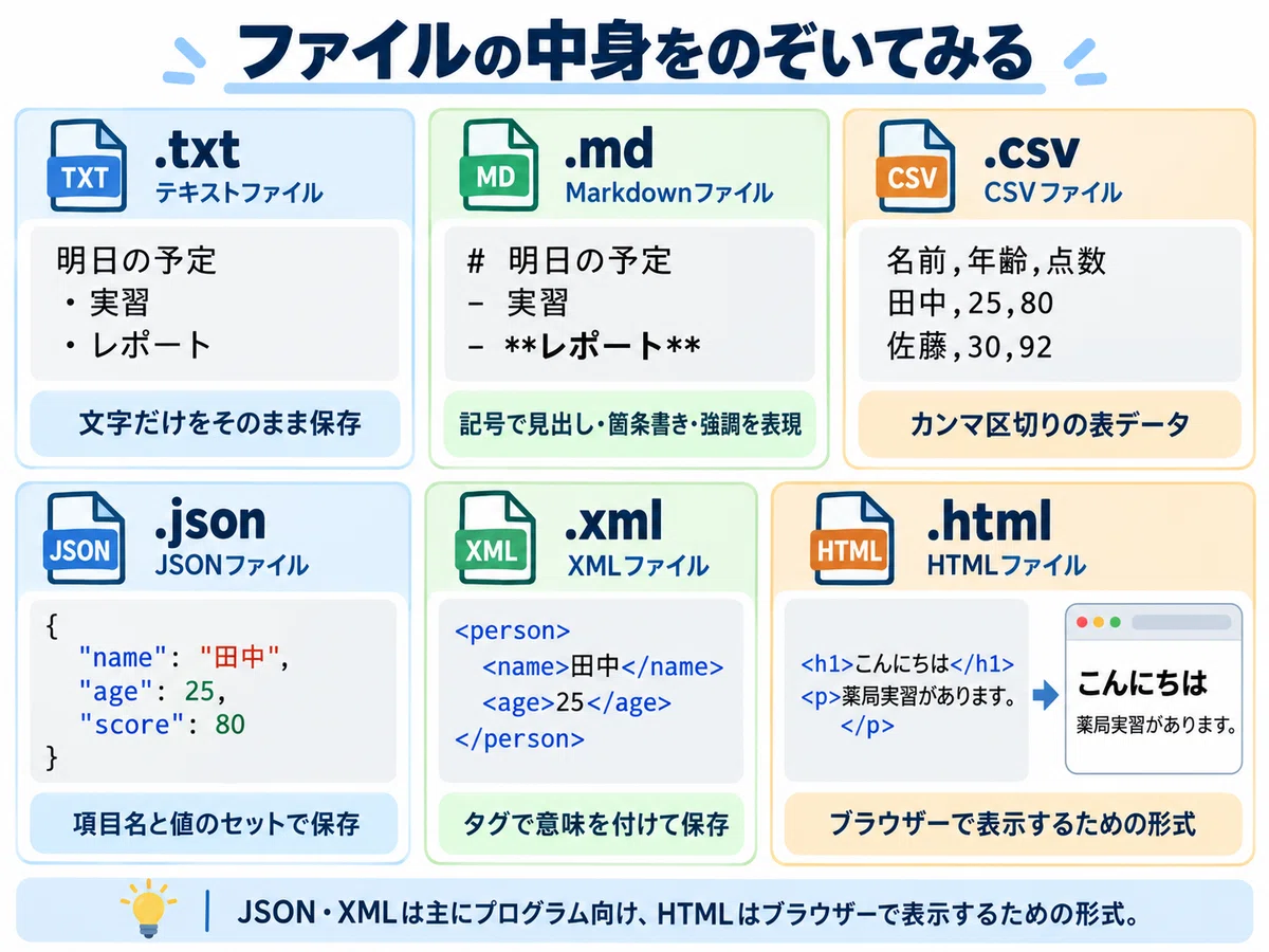 What are file extensions? Part 2 | DOCX, PDF, TXT, CSV, JSON... How do ...