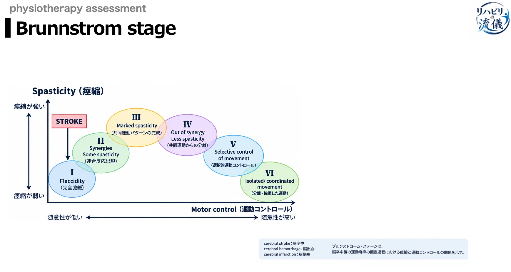 Brunnstrom stage）の基礎知識と評価の手順｜リハビリの流儀
