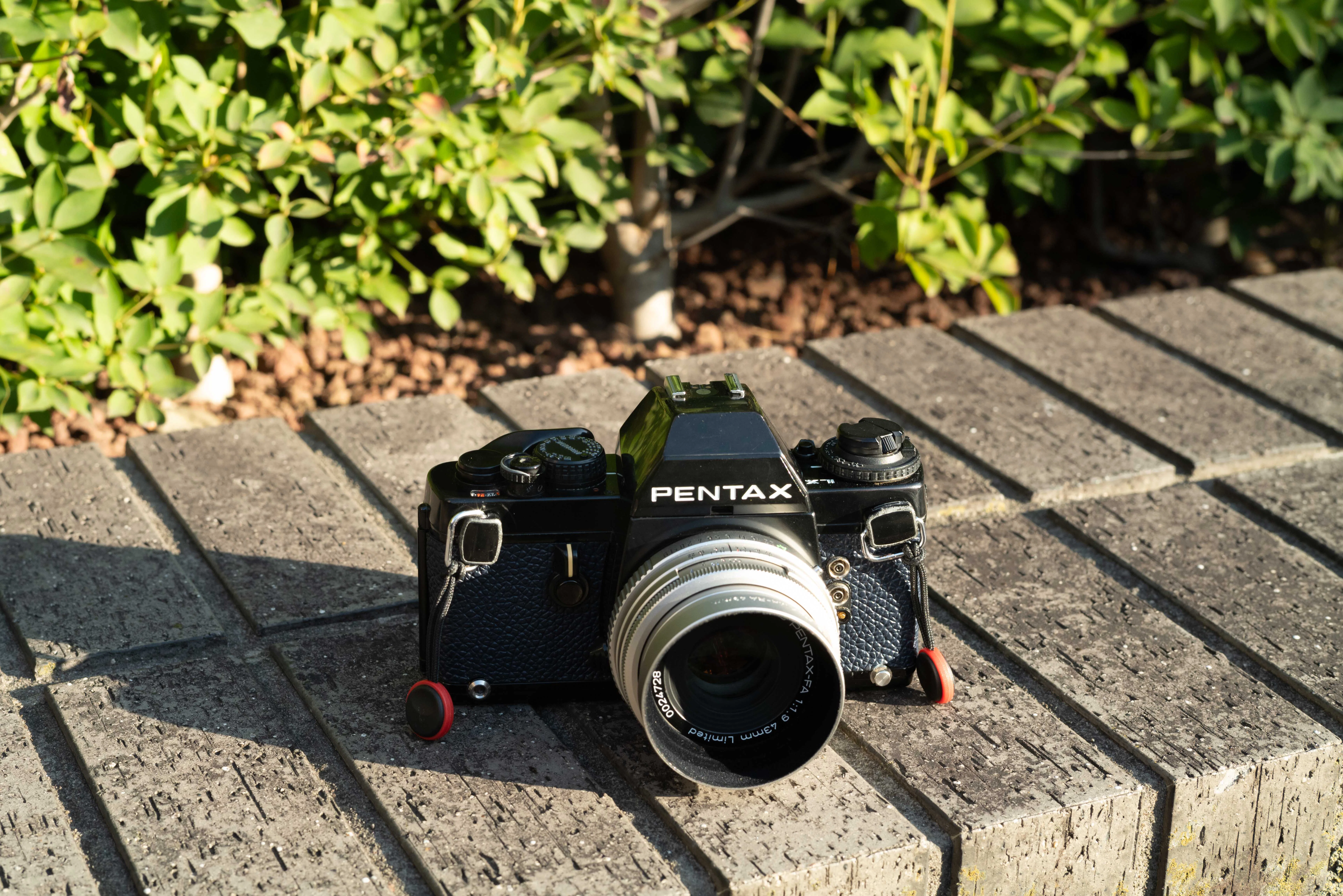 PENTAX LX 1980年、小さく軽いプロ機を選んだ人たち｜tackphoto
