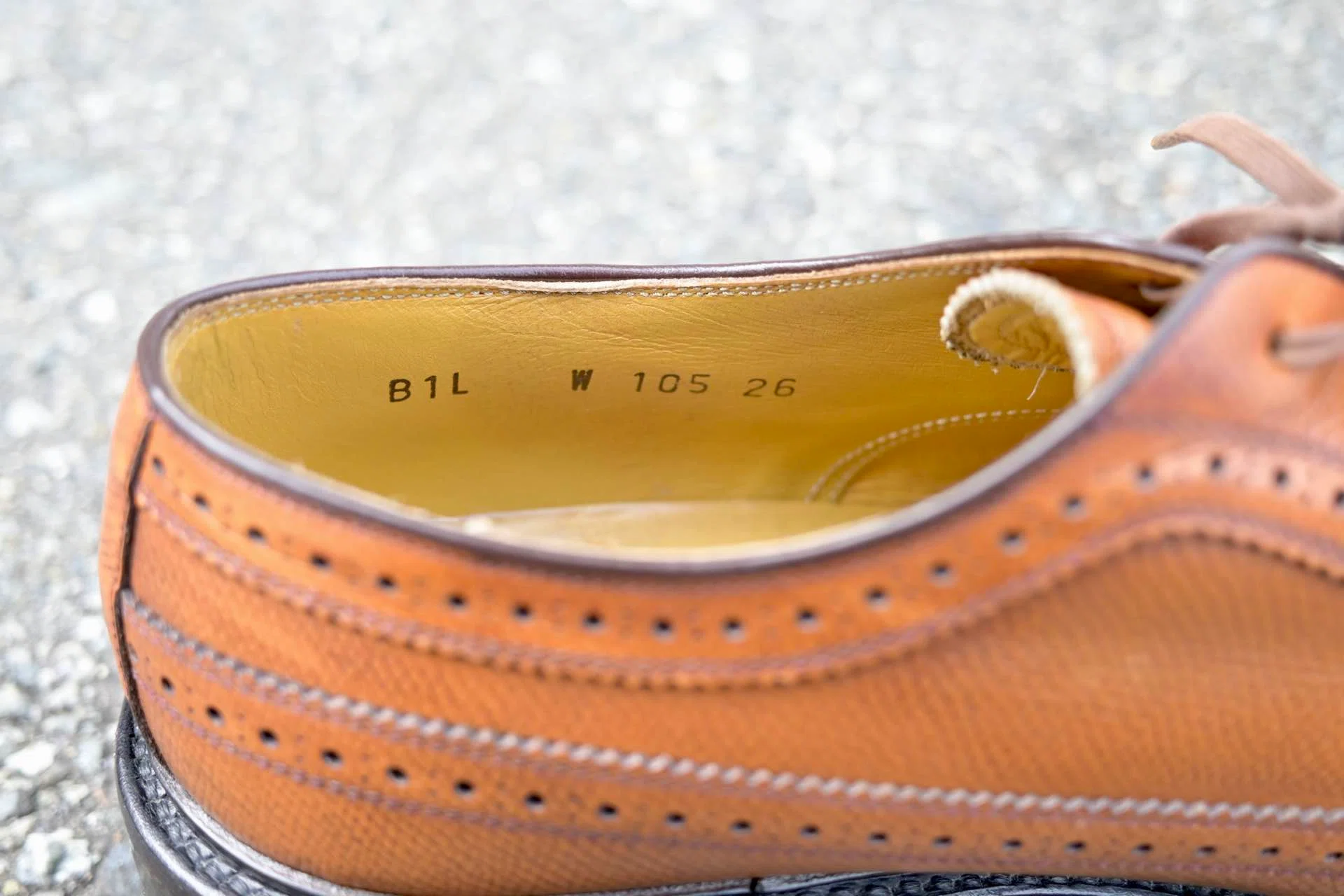 Differences between REGAL W105 and 2235 | How to distinguish them