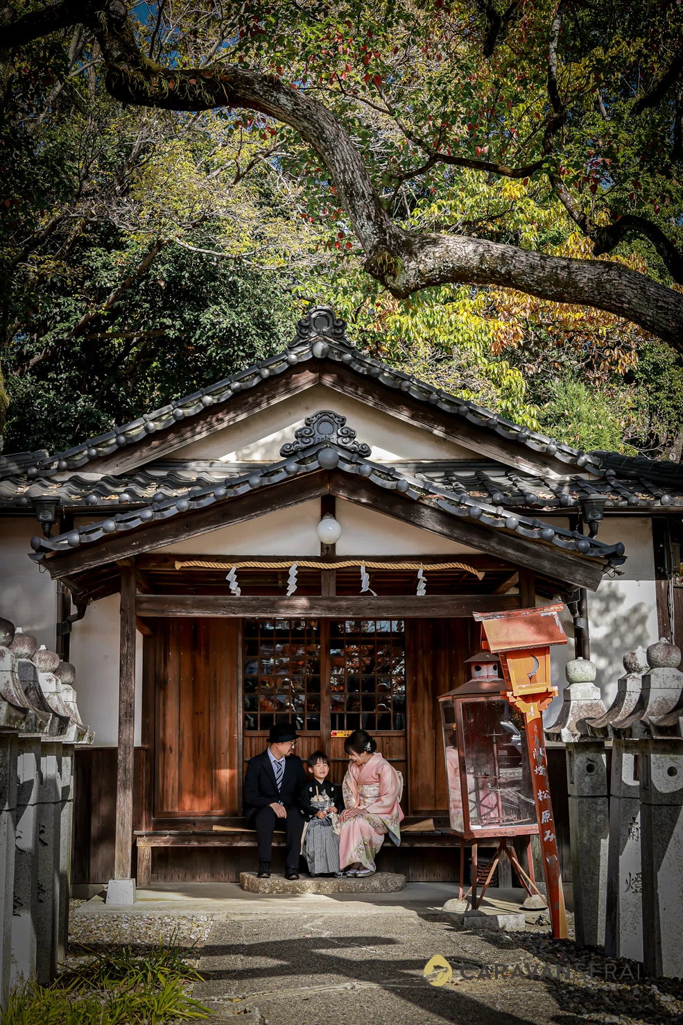 Photography is half light, half background — walking through the ...