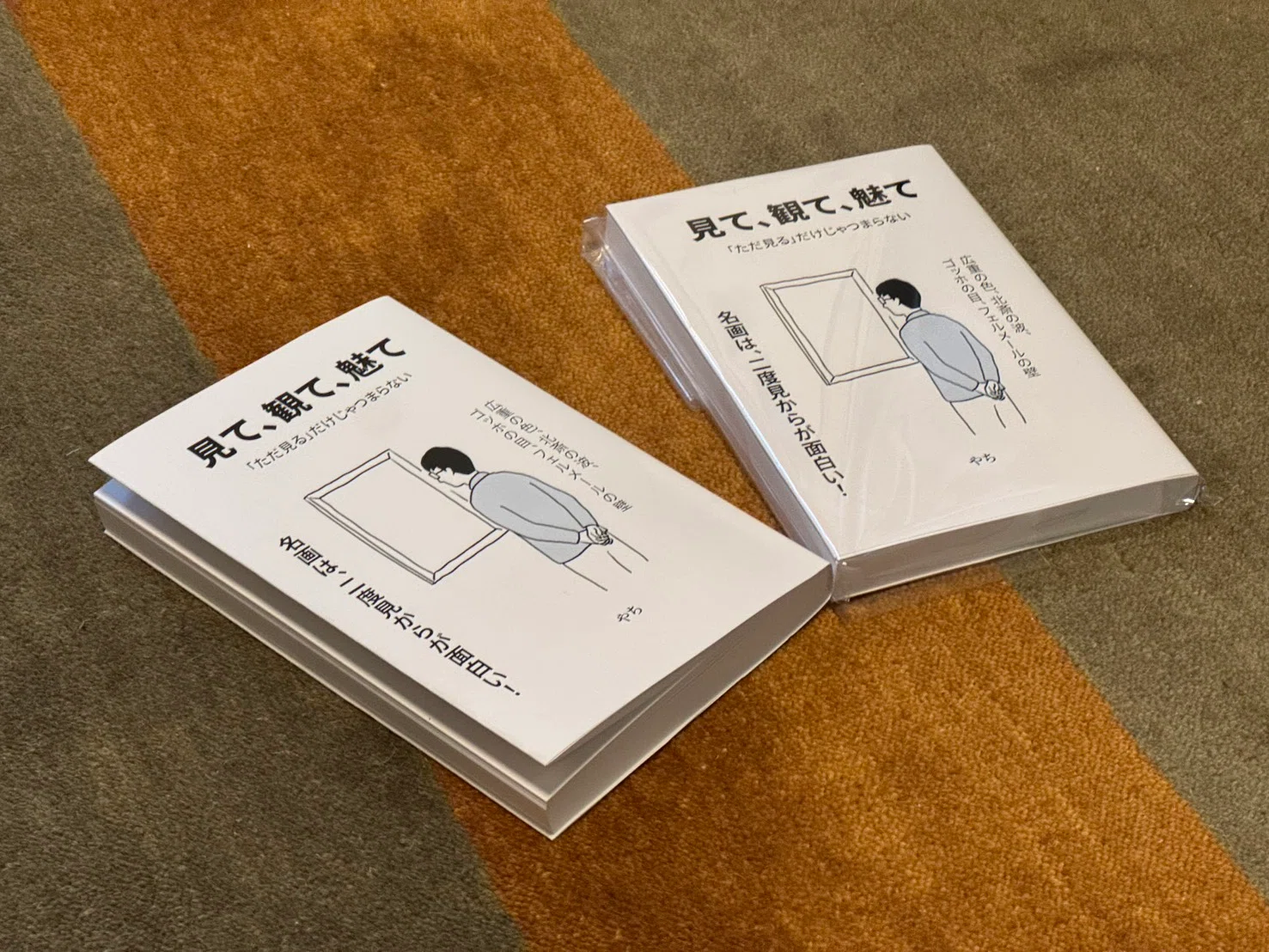 ZINE完成🎉書評をAIに頼んだら、表紙の仕掛けを解説された｜本屋を
