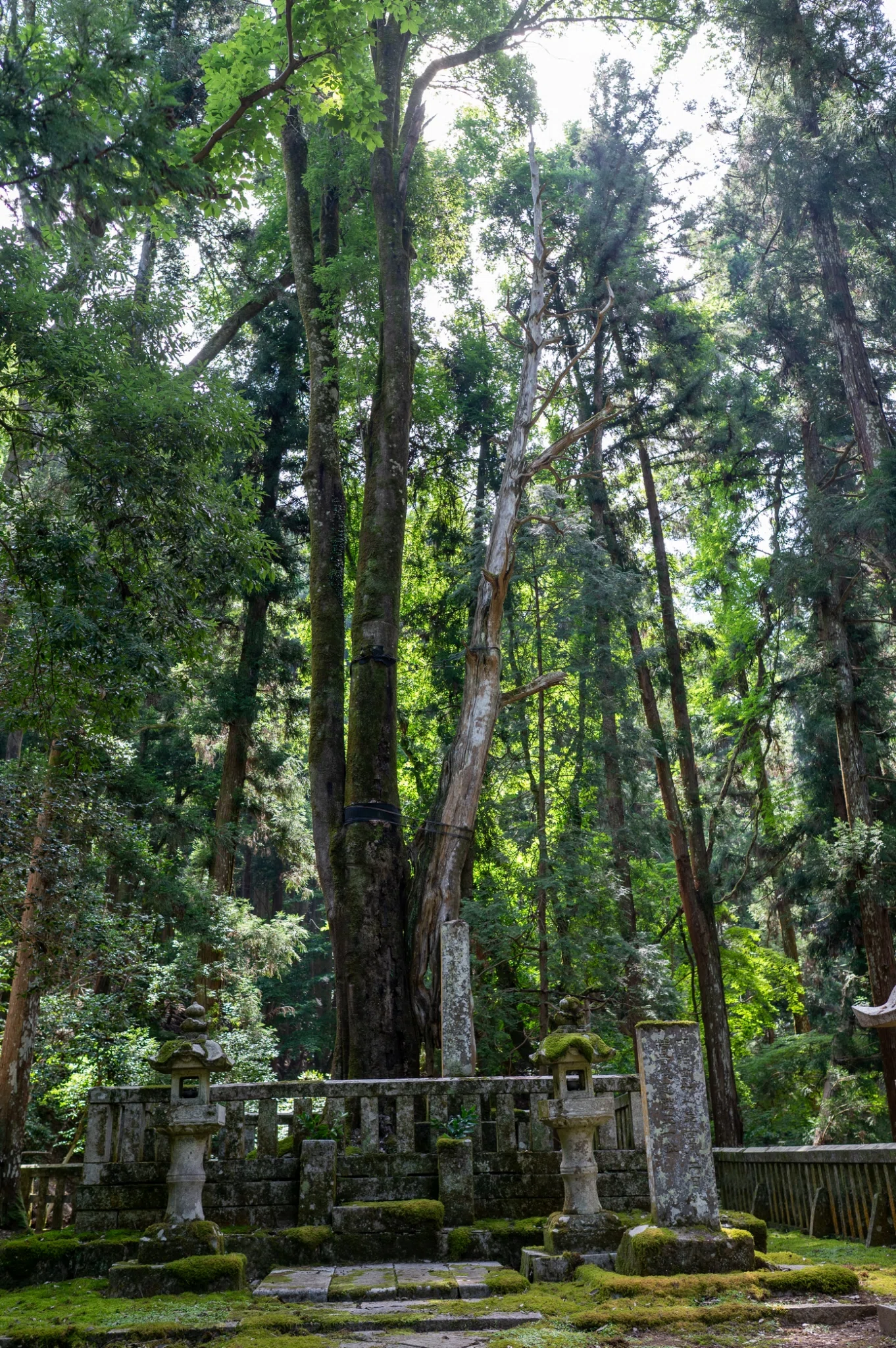 広島/安芸高田】2026墓前祭・一心祭りに参加したら、毛利家への愛が