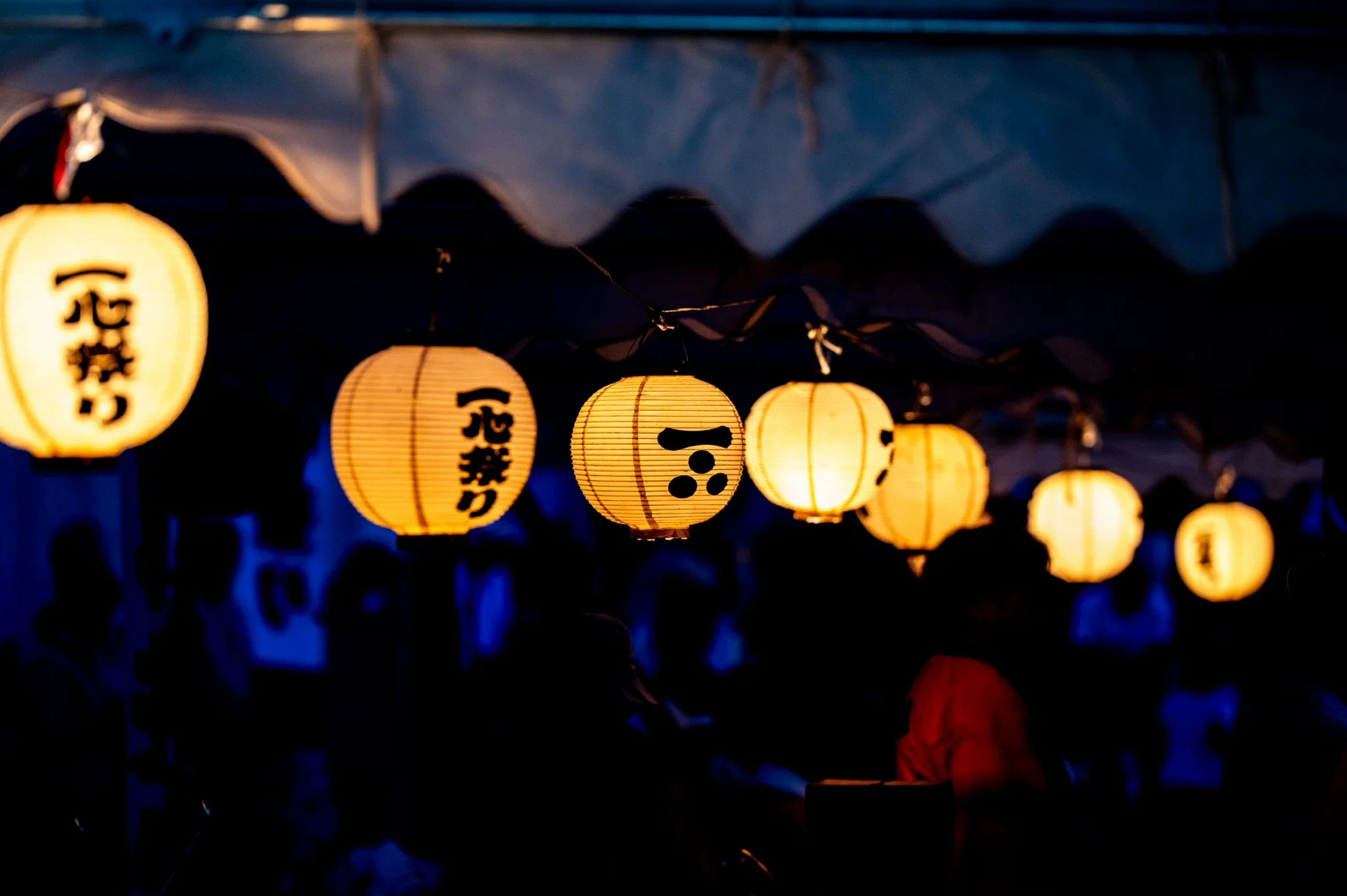 広島/安芸高田】2026墓前祭・一心祭りに参加したら、毛利家への愛が