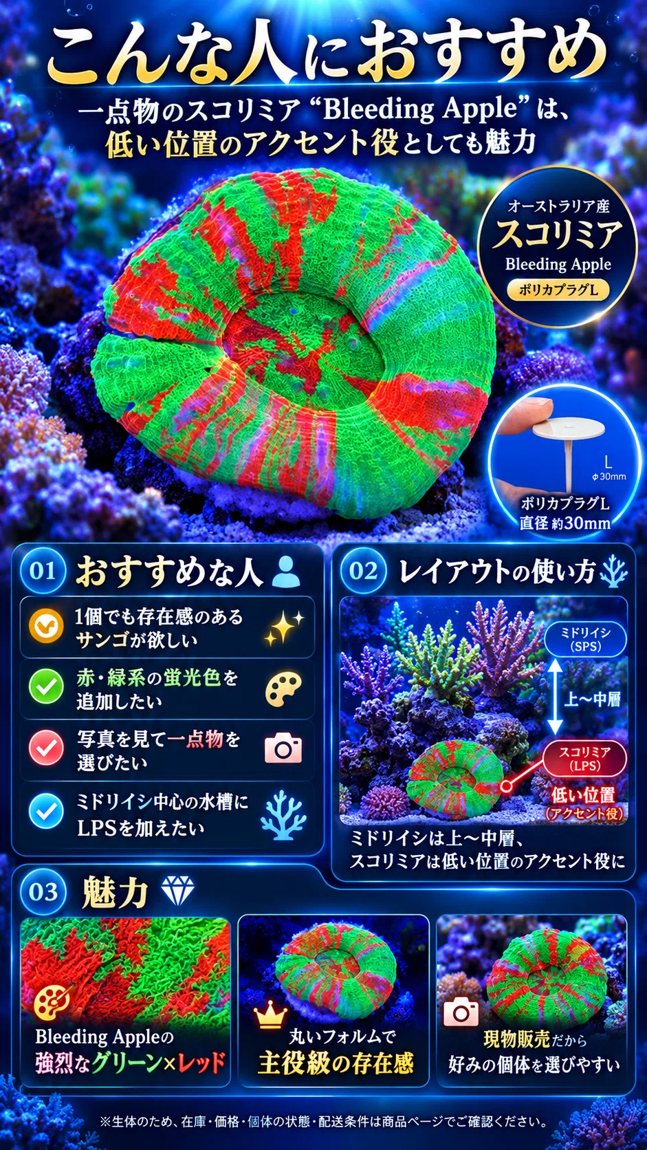 レア　高品質　グリーンアップルフローライト　青リンゴ　スフィア 一点物】オーストラリア産スコリミア Bleeding Apple｜水槽で圧倒的な