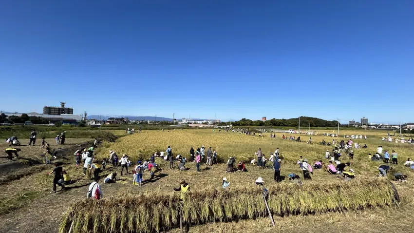[For Farmers] How to Start a Farming Experience | Steps to Get Started ...