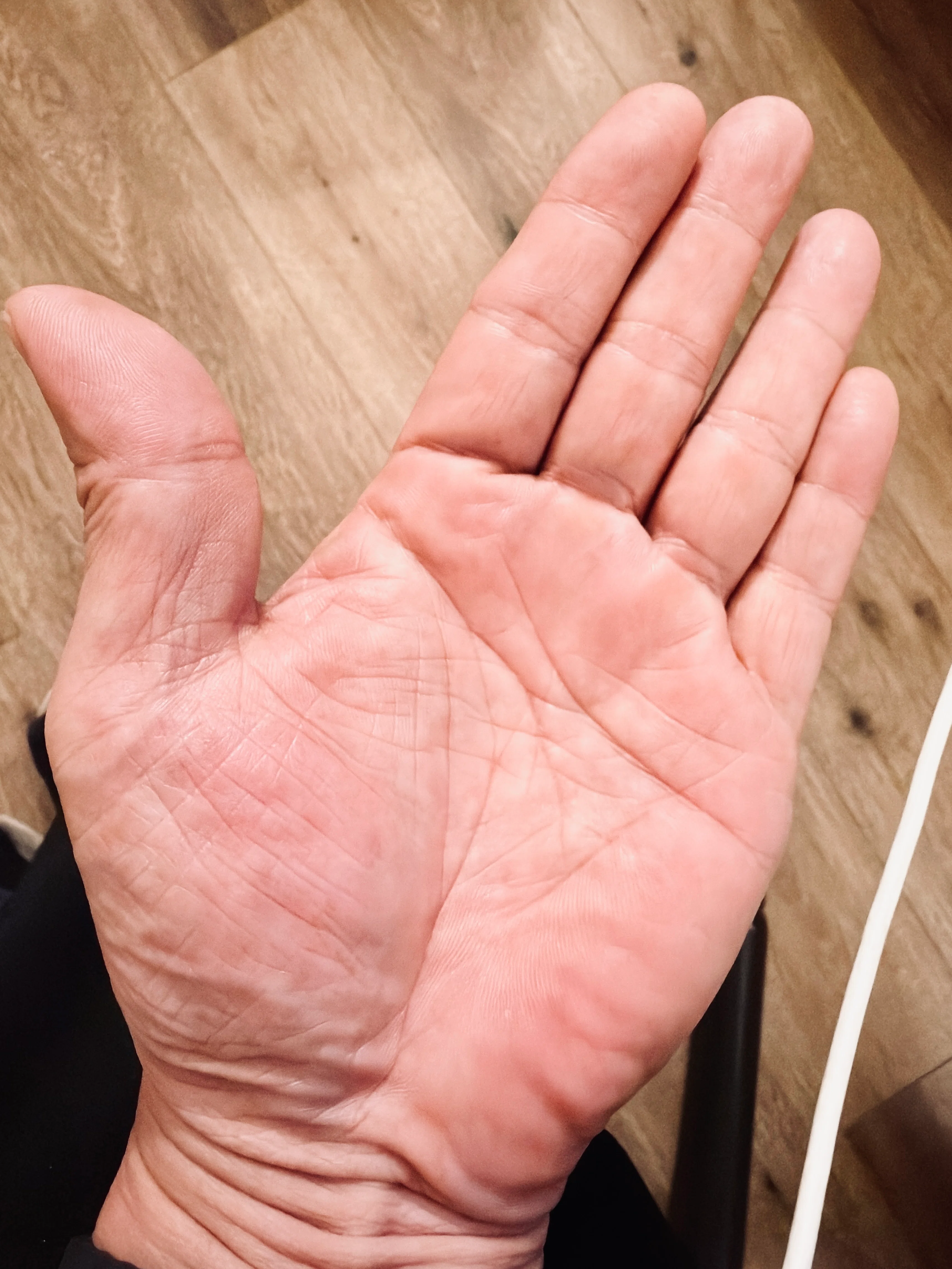 57歳の手相を見てもらったら、だいぶ俺様だった件（2026/10/05）｜浅岡