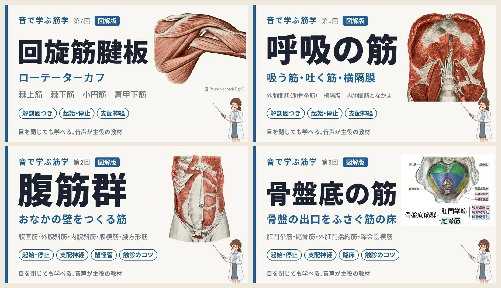 週報｜解剖図の「正確さ」をどう守るか — 2026年9月28日〜10月4日の