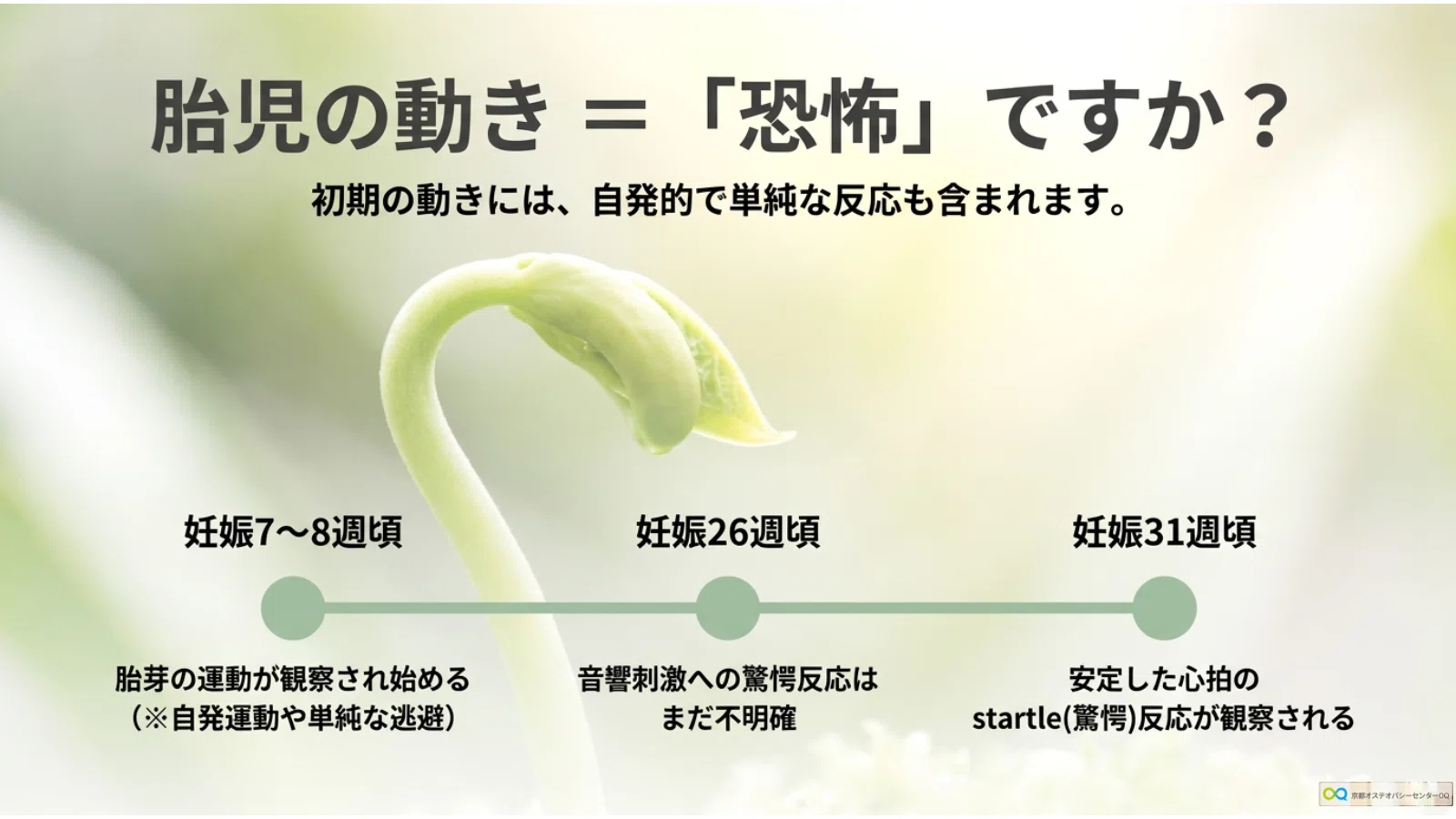 Does the Fear Paralysis Reflex Really Exist?｜Kyoto Osteopathy Center OQ
