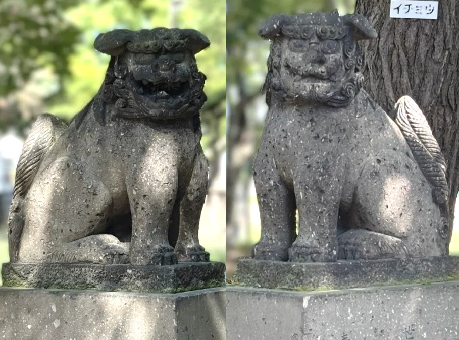 第36回 札幌市内篇（No.23）江南神社①｜北海道狛犬研究所