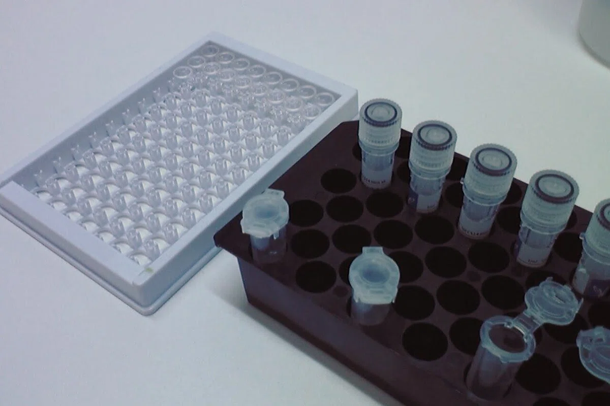 [Raw Placenta Research Part 3 | 5-Part Series] What is 100% EGF ...