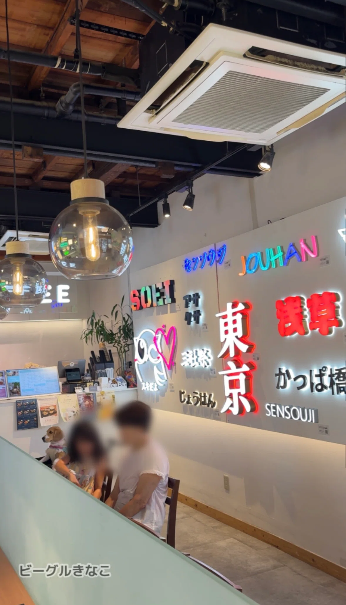 [Asakusa] A surreal set-meal restaurant where you can bring your dog ...