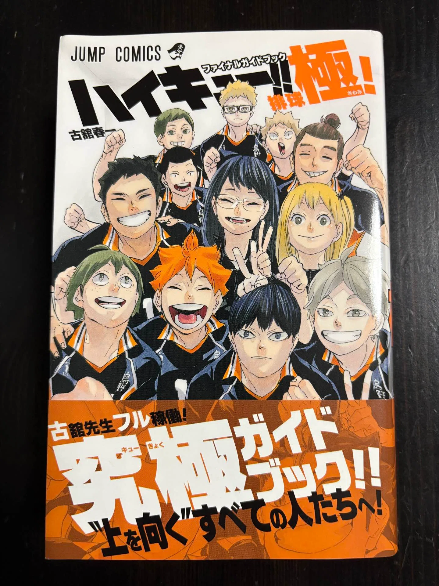 41_ハイキュー!! ファイナルガイドブック 排球 極！（古館春一）｜遥ちか