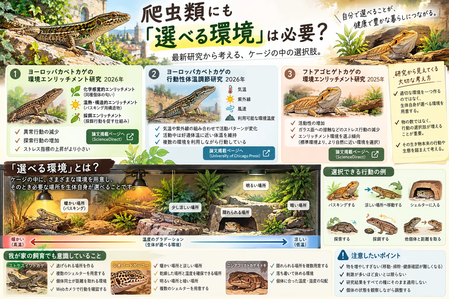 爬虫類にも「選べる環境」は必要？最新研究から考える、ケージの中の