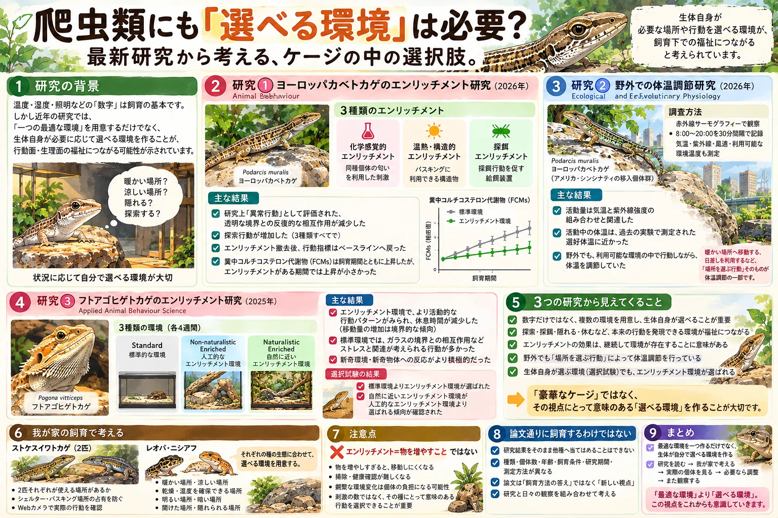 爬虫類にも「選べる環境」は必要？最新研究から考える、ケージの中の