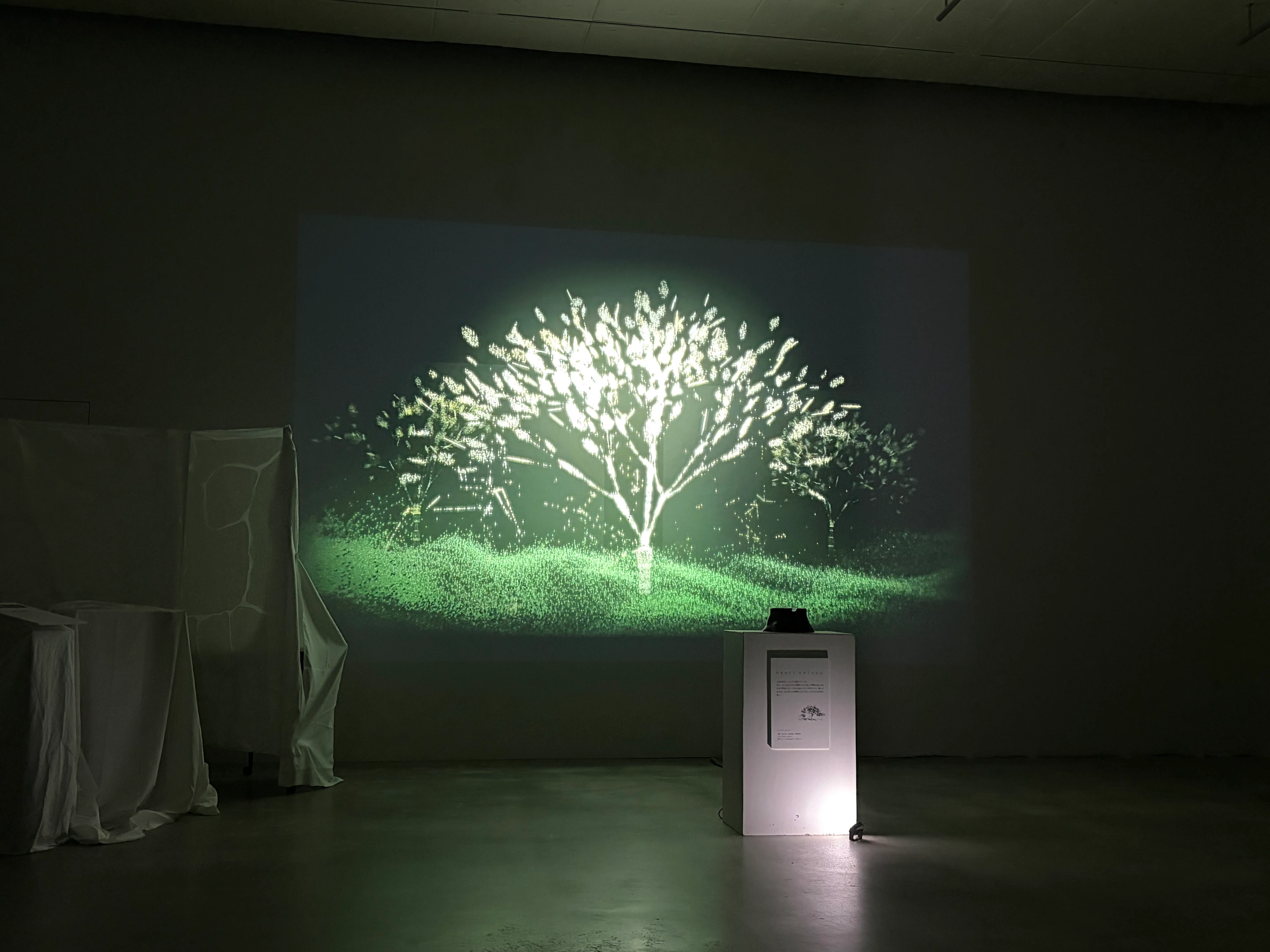 How a Second-Year Design Student Exhibited a Biological Response ...