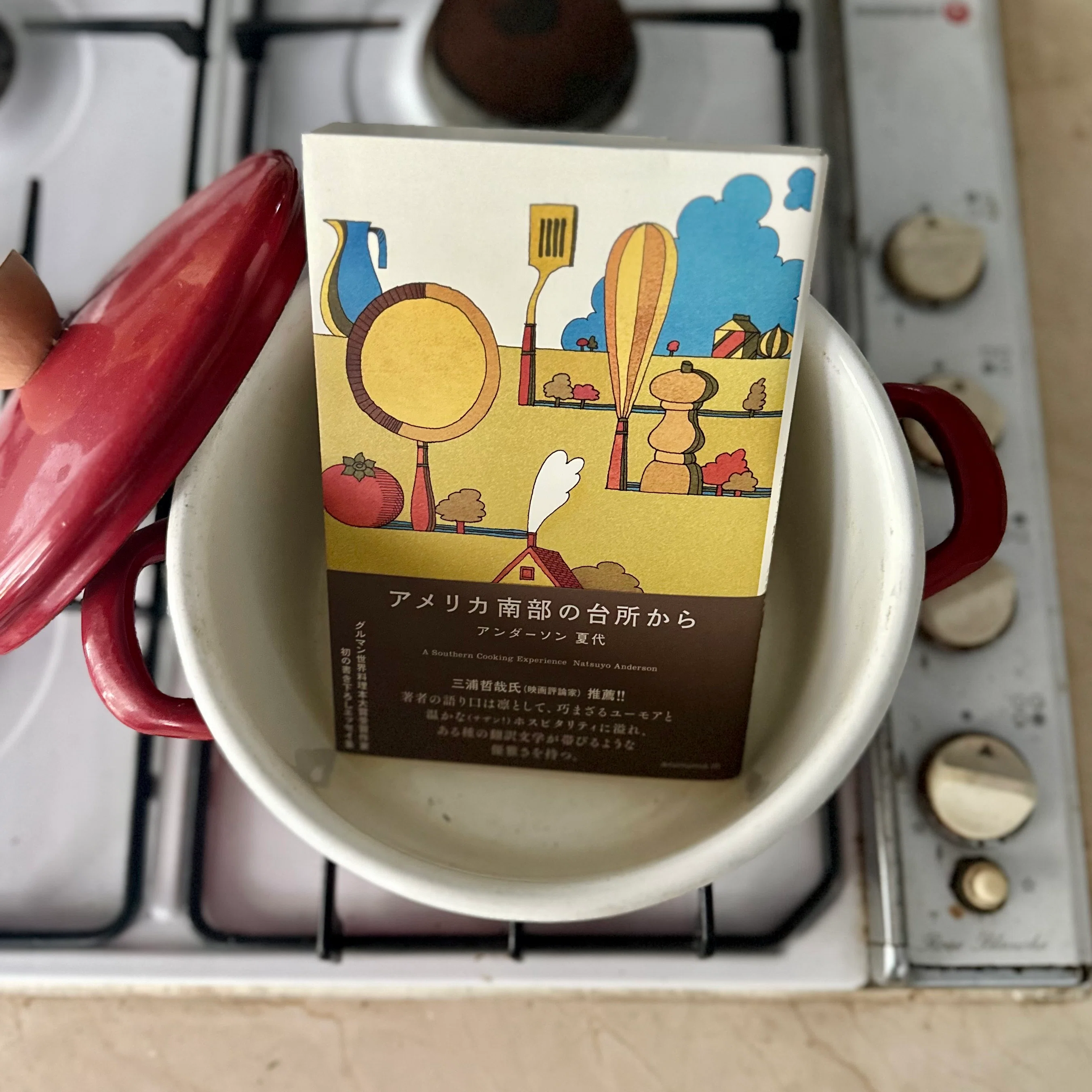Seeing the South Through the Window of the Kitchen: 'From an
