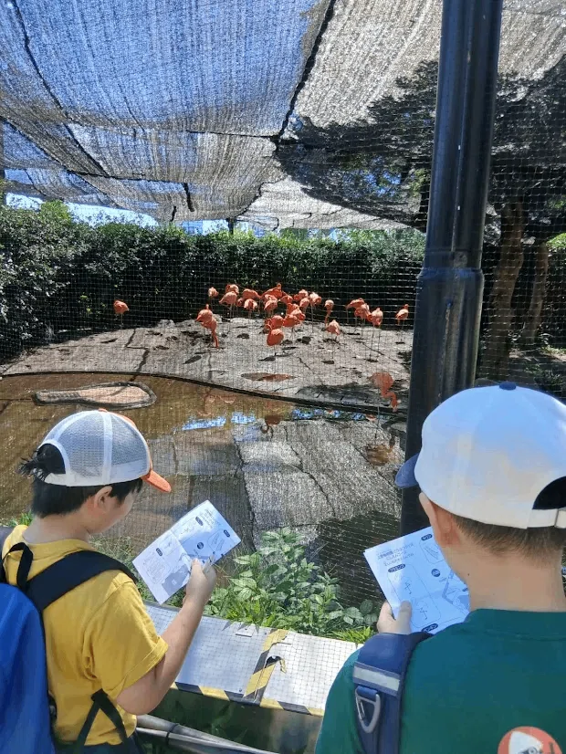[Meiko Free School] Field Trip: Ueno Zoo｜明光みらい