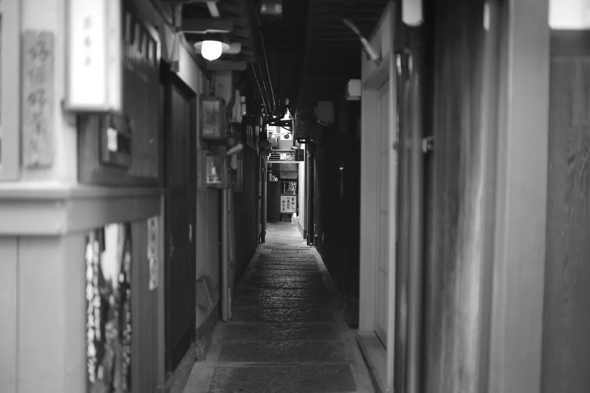 [With Examples] Why the FE 35mm F1.4 GM is incredible. The resolution ...